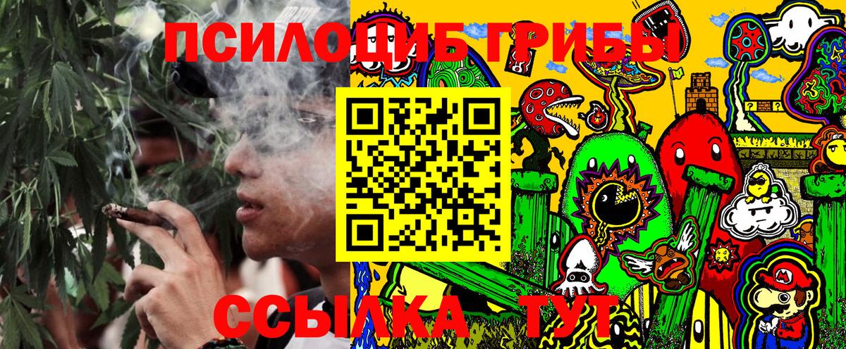 Псилоцибиновые грибы Psilocybe  купить  сайты  Нижний Тагил  Вход с VPN 